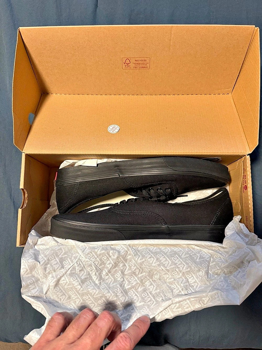 Vans Authentic Shoes